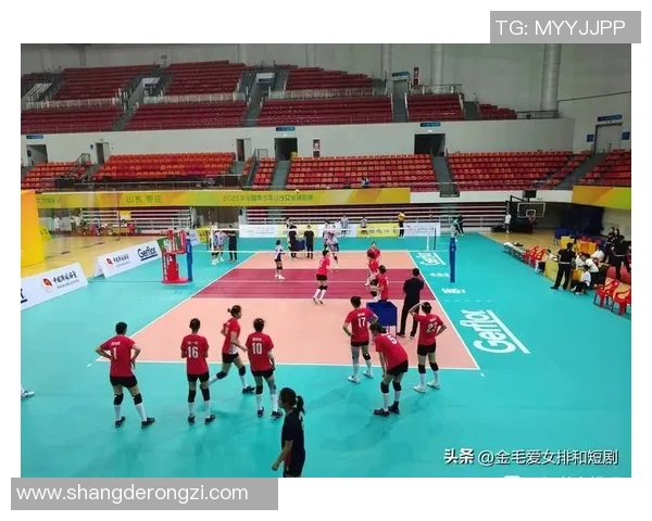 武汉排球队在排球配合排名中创下新高展现团队实力与创新精神