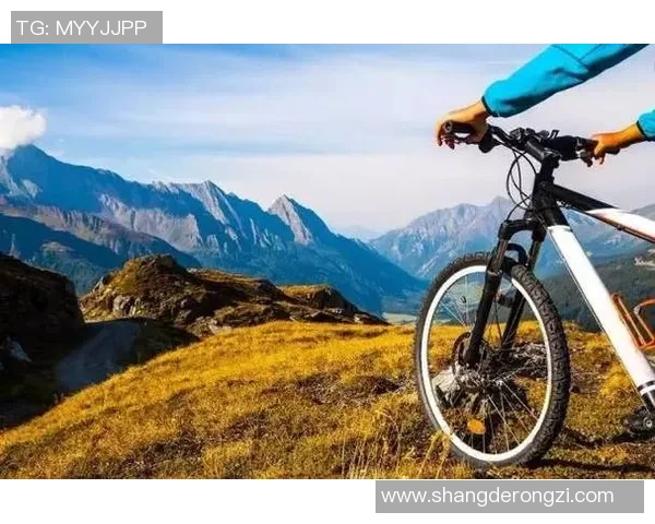 上海攀岩队转型升级之路：探索新模式与未来发展方向