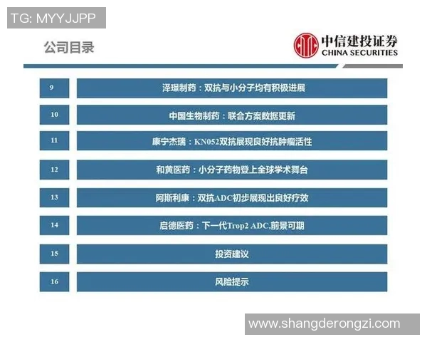 成都排球队技术分析与战术创新的深度探讨与展望