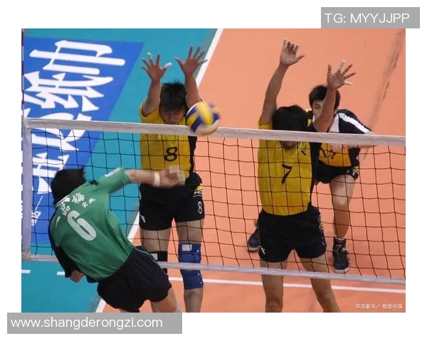 赛后分析:成都排球队与深圳排球队的团队协作表现及启示