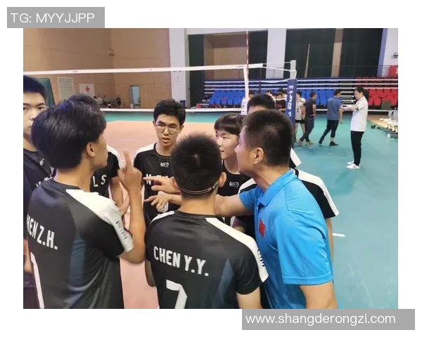 南京排球队的阵地战解析：深度剖析战术与团队协作的成功之道