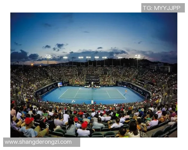 南京网球队状态变革引发热议网球运动的新篇章与挑战