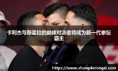 卡利杰与斯霍拉的巅峰对决谁将成为新一代拳坛霸主