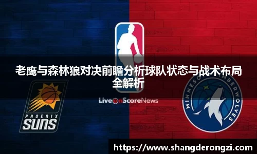 老鹰与森林狼对决前瞻分析球队状态与战术布局全解析