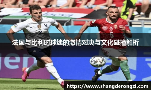 法国与比利时球迷的激情对决与文化碰撞解析